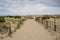 Footpath through Dune du Pyla