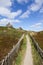 Footpath through the dunes of Sylt