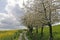 Footpath with field, Germany