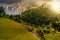 Footpath through forest on hillside at sunset