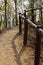 Footpath through the forest next to a handrail