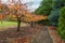 Footpath in the garden with cherry trees