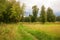 Footpath going through the field