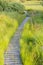 Footpath Through Green Bog Landscape In The High Fens, Belgium