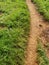 A footpath in the green western Kenya areas