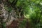 Footpath in the greenforest and big stone rocks nearby