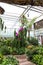 A footpath in a greenhouse surrounded by lush green trees and plants and colorful flowers at Atlanta Botanical Garden