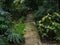 Footpath in a greenhouse with tropical plants. Sunlight gets through glass windows