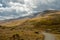 Footpath High in Colorado Mountains