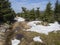 Footpath in Jizerske hory mountain in spring with lush green spruce tree forest and melting snow puddle at sunny day