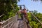 Footpath in jungle - Tenerife Canary islands