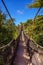 Footpath in jungle - Tenerife Canary islands