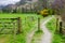 Footpath in the Lake District