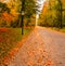 Footpath with lanterns and benches through colorful autumn park