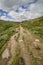 Footpath leading to Dovrefjell, Norway