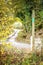 Footpath leading to a leafy lane