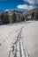 Footpath leading to the mountain shelter in the winter, Tatra Mountains