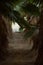 Footpath lined with palm tree leaves