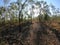 Footpath Litchfield National Park Northern Territory Australia