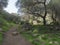 Footpath through Lush landscape of Barranco de los Cernicalos with man hiker figure in the distance. Gran Canaria