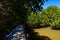 Footpath in Mangrove forest