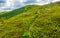 Footpath through the mountain ridge