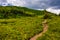 Footpath through the mountain ridge