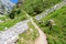 Footpath in mountains Picos de Europa, Spain, in summer sunny da