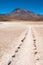 Footpath near Miscanti lagoon, Chile