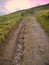 A footpath in Nidderdale, Yorkshire, UK showing serious erosion damage by rainfall water