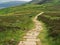 Footpath in the North York Moors National Park, England