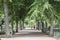 Footpath in Old Cemetery Park, Malmo