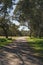 Footpath in park with shadows