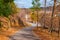 Footpath in Piedmont Park, Atlanta, USA