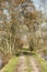 Footpath in a polder in Holland