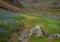 Footpath through the Rannerdale Bluebells