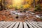 Footpath and river in autumn colors forest