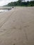 Footpath sand in the beach