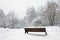 Footpath snow-covered bench and trees in winter park