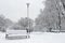 Footpath snow-covered bench and trees in winter park