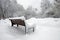 Footpath snow-covered bench and trees in winter park