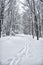 Footpath in snowed forest