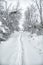 Footpath in snowed forest