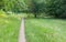 Footpath in a summer deciduous forest