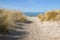 Footpath to the beach through the sand dunes with marram grass
