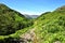 The footpath in to Borrowdale