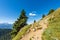 Footpath to the Mountain Peak of Osternig or Oisternig - Italy-Austria Border