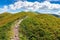 Footpath to the mountain top