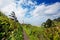 Footpath to North Head Light