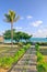 Footpath to the sea with palm trees